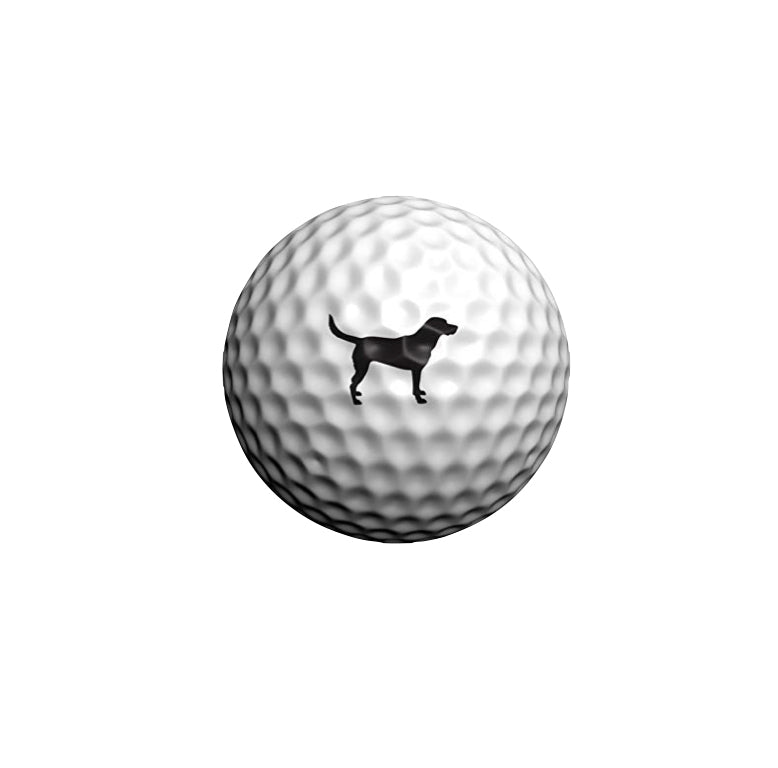 Golfdotz golf ball marker Singapore | Pancit Sports