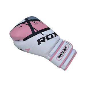 RDX Boxing Gloves Singapore | Pancit Sports Fairtex 