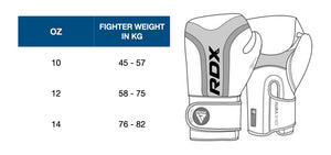 RDX Boxing Gloves Singapore | Pancit Sports Fairtex 